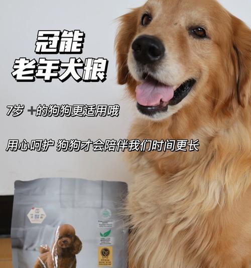 老年犬身体不好也要运动的5种合适运动方式（为老年犬提供适合的运动方式，促进健康老年生活）