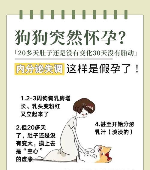 母狗桃子的恢复期是多久？（探寻母狗桃子产后恢复的时间和方法）