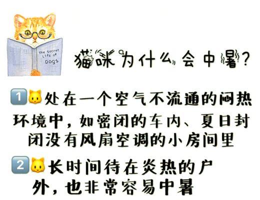 猫咪中暑的原因与恢复时间（了解猫咪中暑的症状及预防措施）