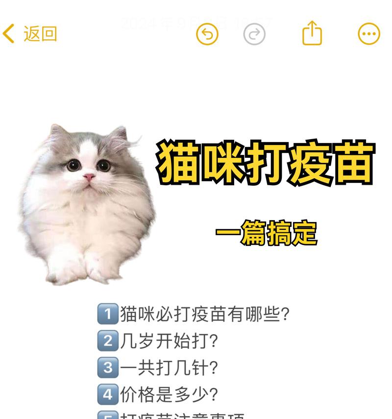 猫咪不建议打狂犬疫苗的重要原因（保护宠物健康的关键措施与选择合适的预防措施）