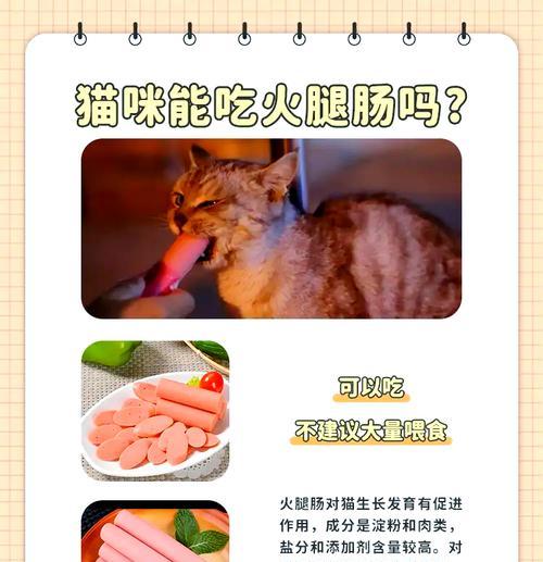 小心！这12种食物会让猫咪中毒（保护你的爱猫，远离这些危险食物）