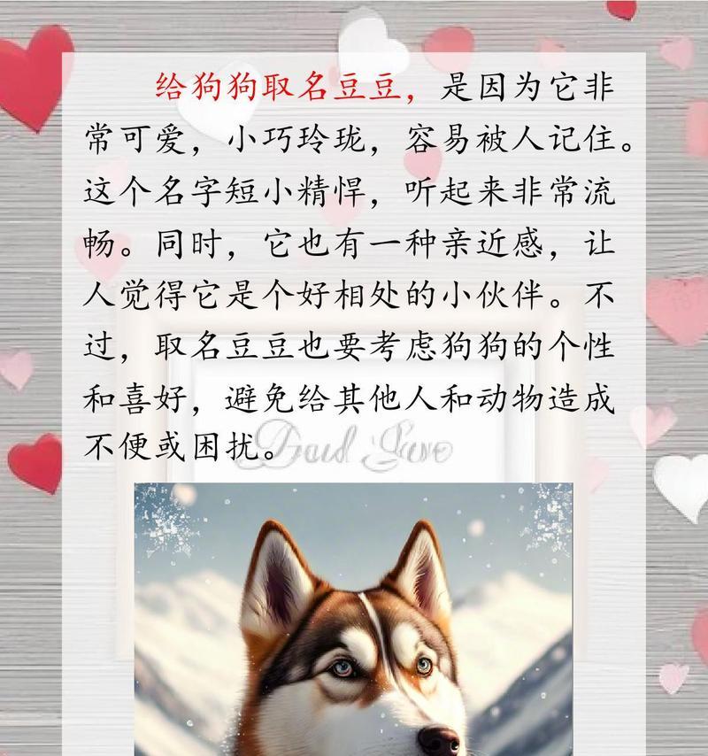 狗的记忆力（揭秘狗狗记忆力的奥秘和限制）