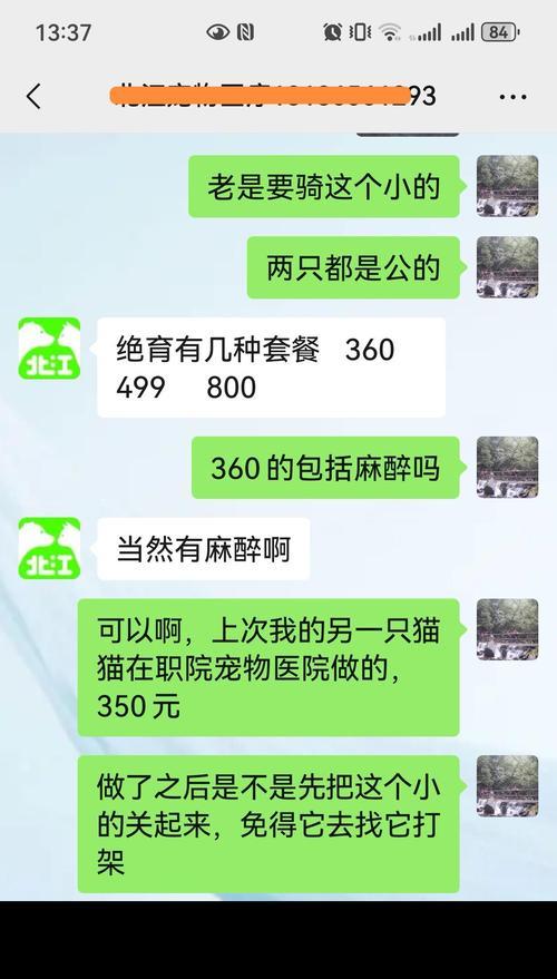 猫咪绝育费用详解（绝育手术费用、相关费用明细及省钱技巧）