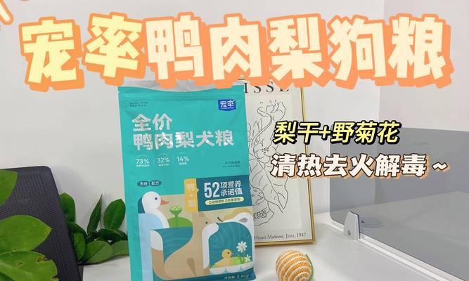 狗狗的饮食需求及合适狗粮摄入量（狗狗每天所需狗粮摄入量详解）