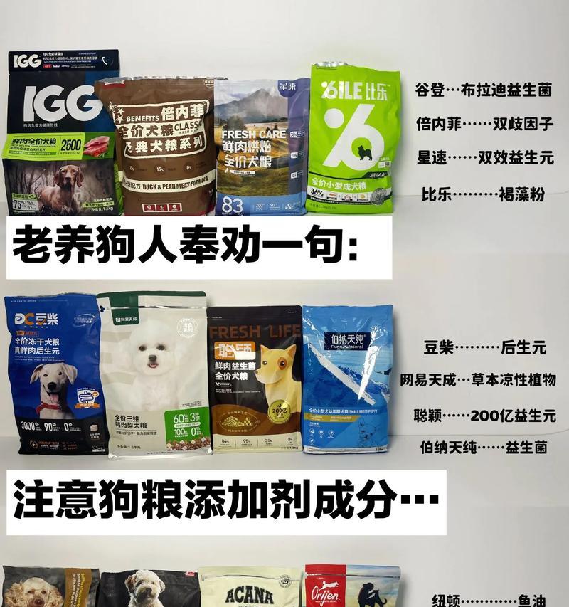 买狗粮需要注意的关键事项（如何选择适合你的狗的优质狗粮）