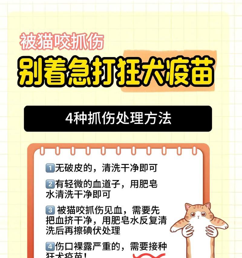 猫感染狂犬病后能存活多久？（揭秘猫患狂犬病的存活期及相关因素）