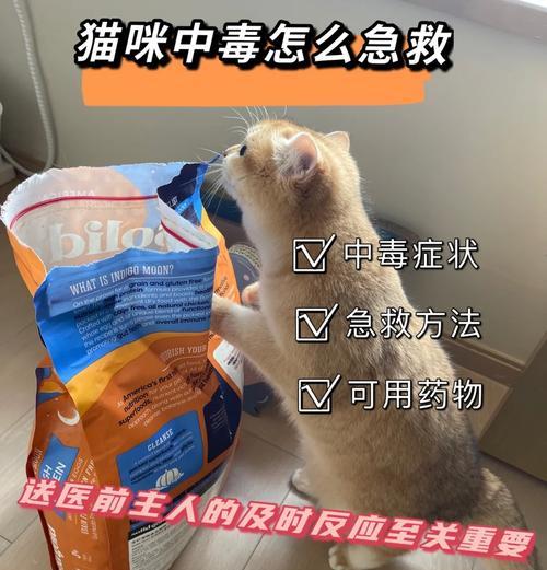 小狗误食老鼠药后会死吗？（老鼠药对小狗的致命危害及应急处理措施）