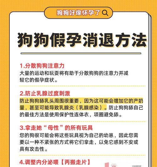 母狗生了多久才可以出来玩？（宝宝狗狗的健康与乐趣等待的时间）