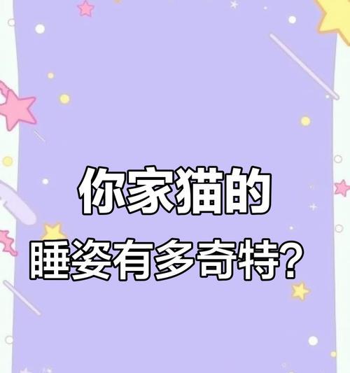 猫咪的睡眠时间（探寻猫咪睡眠之谜，揭示猫咪睡觉的奥秘与重要性）