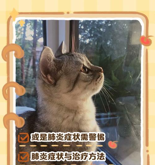 揭秘猫咪呼吸声异常大的原因（了解为什么你的猫咪的呼吸声比其他猫咪大，以及如何处理这个问题）