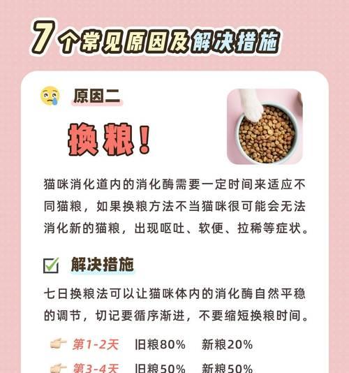 猫的消化时间究竟是多久？（揭秘猫咪消化过程中的时间奥秘）