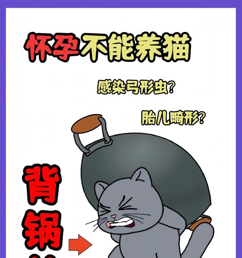 母猫的孕育周期与间隔时间（了解母猫的繁殖周期与合理的交配间隔时间）
