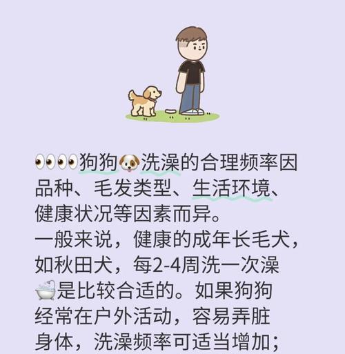 合适的洗澡频率（科学护理是保持犬健康的关键）