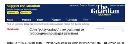训练厕所使用需要多久？（揭秘掌握厕所技巧所需时间）