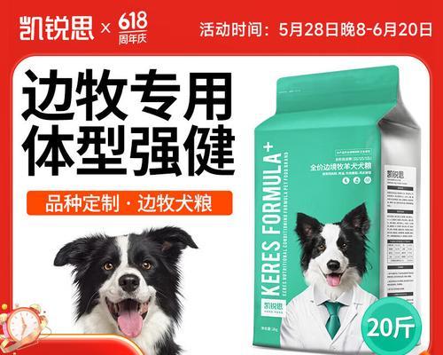 探究影响边牧体重的因素（从狗粮到运动量，了解边牧体重的关键因素）