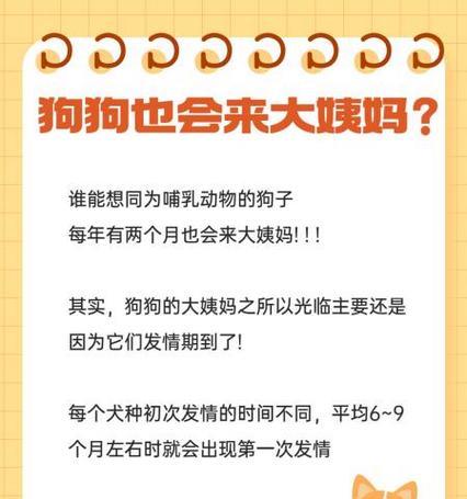 小型犬的例假周期及注意事项（了解小型犬的例假周期，合理照顾你的爱宠）