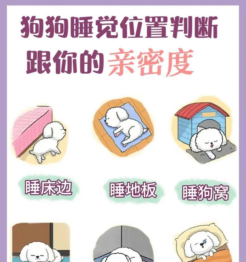 狗狗的睡眠习惯与需要（探索狗狗为何如此爱睡眠的原因）