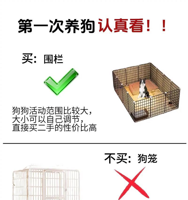 养狗新手必备（从零开始，为你的新伙伴做好准备）