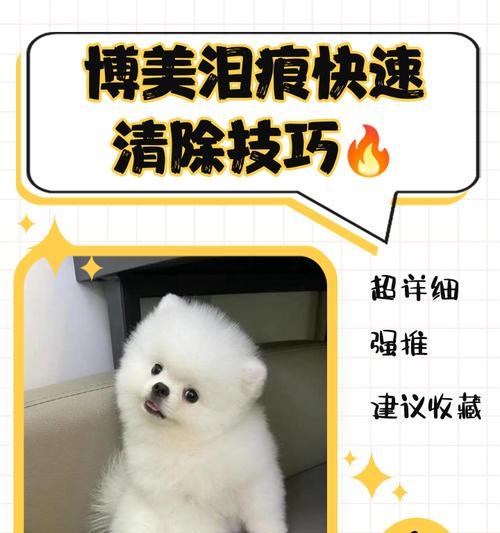 告别博美犬“泪痕”，教你几招让它不再丑（轻松解决博美犬泪痕问题，让它重拾可爱形象）
