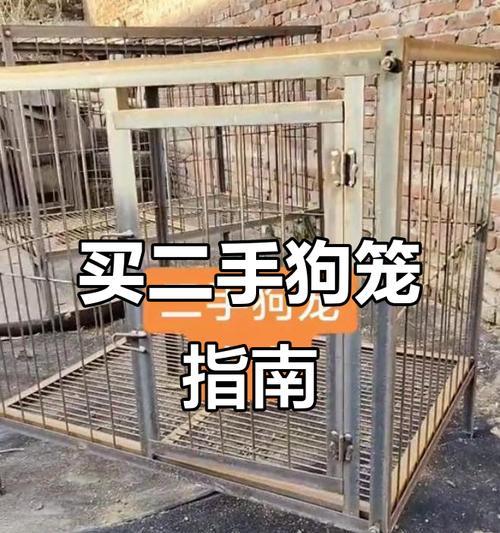 狗笼子清洗频率的重要性（为了宠物健康，你需要知道这些关键信息）