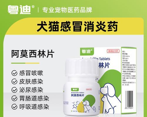 常用犬抗生素大揭秘（探索犬医学领域中的常用抗生素及应用）
