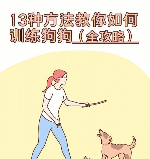 解决狗狗在主人床上尿尿的问题（教你如何培养狗狗良好的排尿习惯）