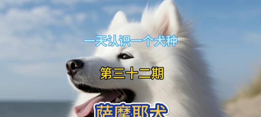 微笑天使（一款可爱活泼的家庭宠物，为您带来无尽的欢乐）