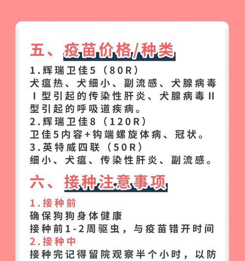 狗狗细小康复后多久打疫苗？（了解狗狗细小康复后疫苗接种时间的重要性）