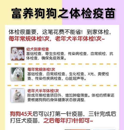 养狗是否能够暴露经济实力？（狗狗开销有多大？）